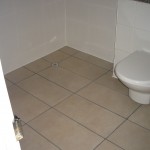 Bathroom floor coloured grey grout